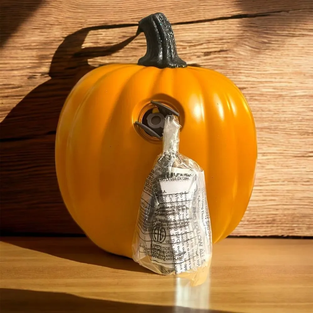 Hyde & EEK Halloween Lighted Pumpkin EEK
